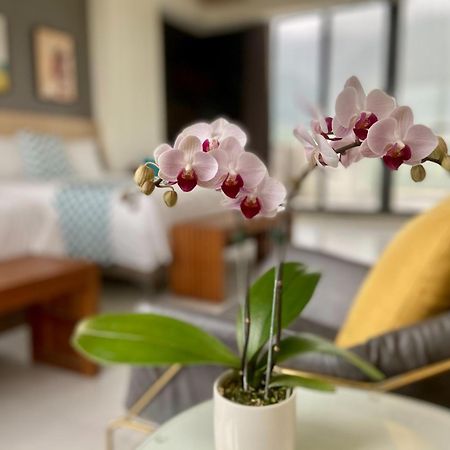 Follow The Cloud B&B Jialin Quarto foto