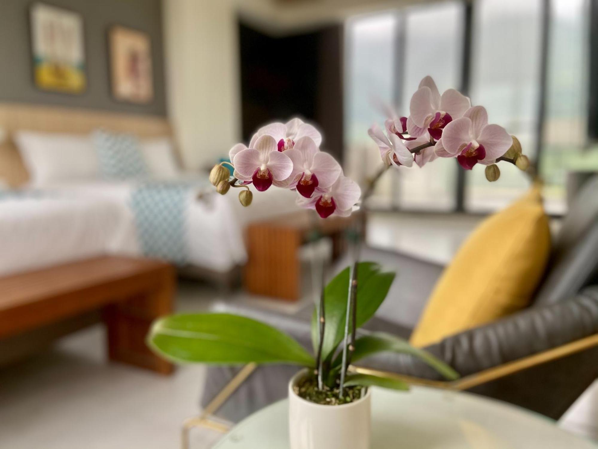Follow The Cloud B&B Jialin Quarto foto
